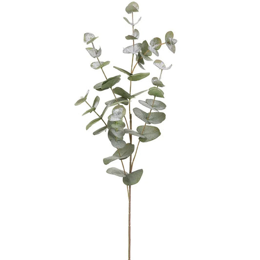 Snowed_Eucalyptus_Spray