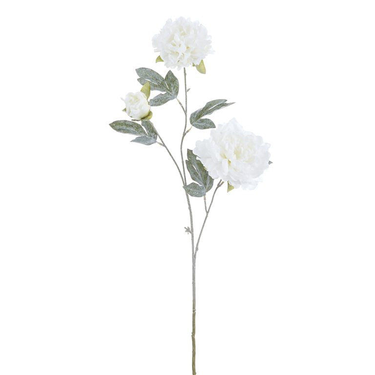 Snowed_Peony_Spray_White