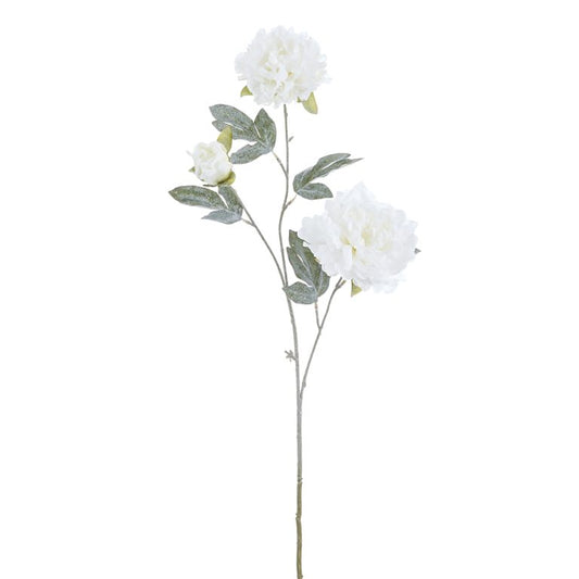 Snowed_Peony_Spray_White