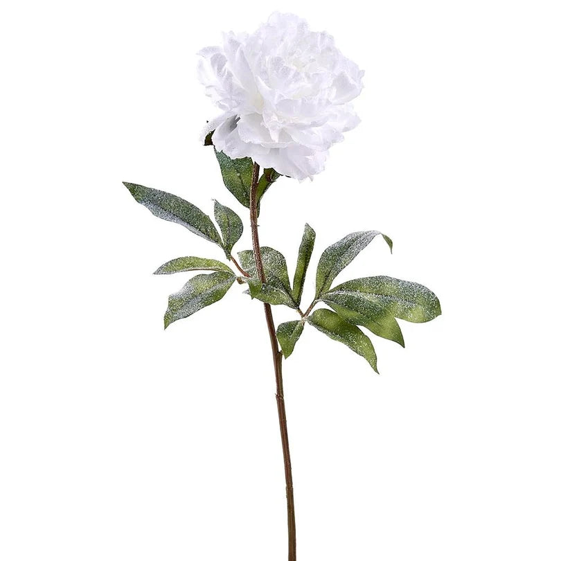 Snowed_Peony_Spray_White