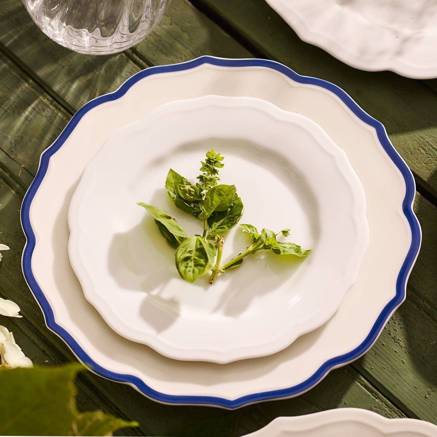 White plate with blue rim on a wooden table, featuring a sprig of basil.