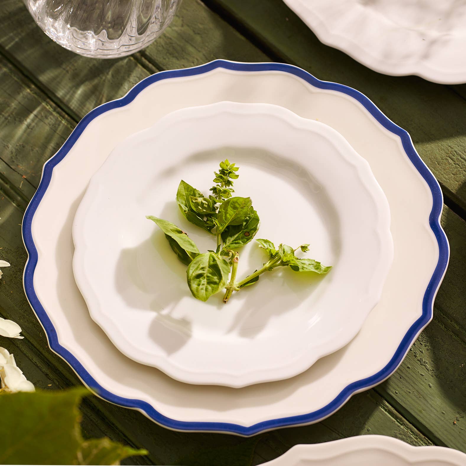 White plate with blue rim on a wooden table, featuring a sprig of basil.