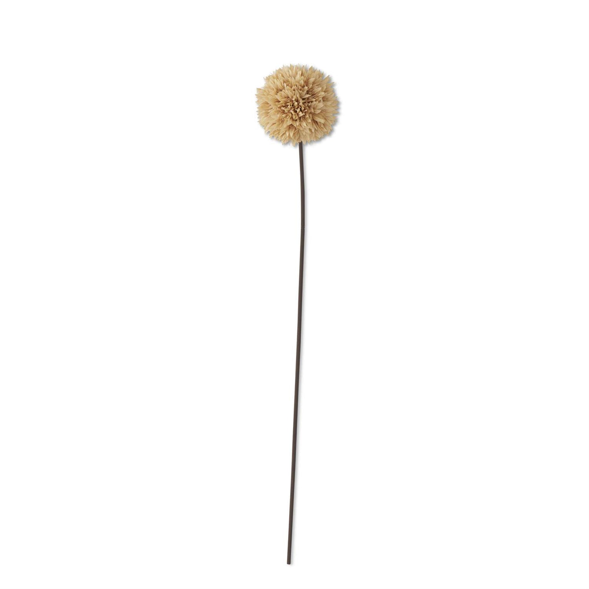 Tan_Allium_Stem