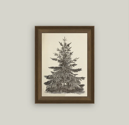 Vintage Pine Tree Framed Vintage Art