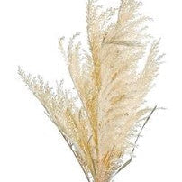 WHEAT GRASS SPRAY, 41", BEIGE