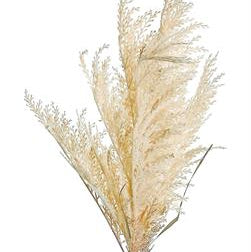 WHEAT GRASS SPRAY, 41", BEIGE