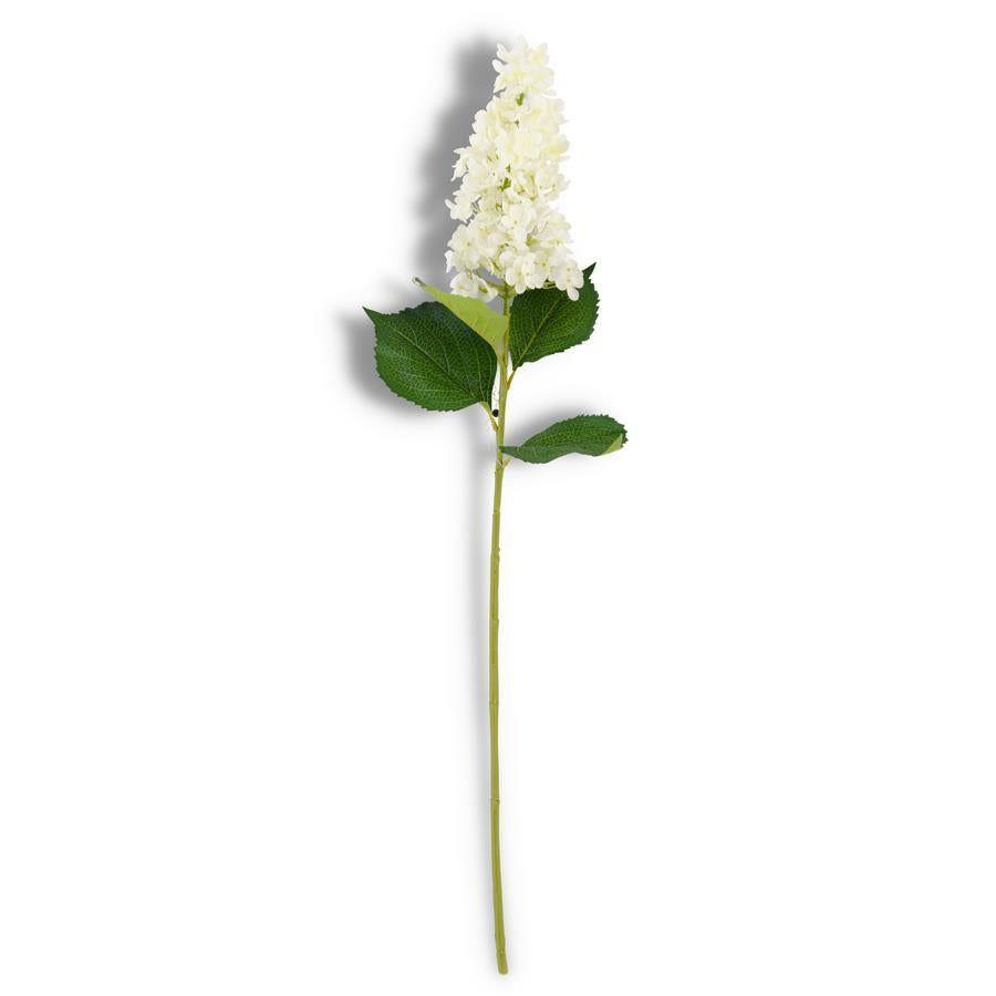 A single white hydrangea flower with a green stem, isolated on a white background.