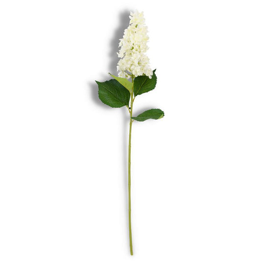 A single white hydrangea flower with a green stem, isolated on a white background.