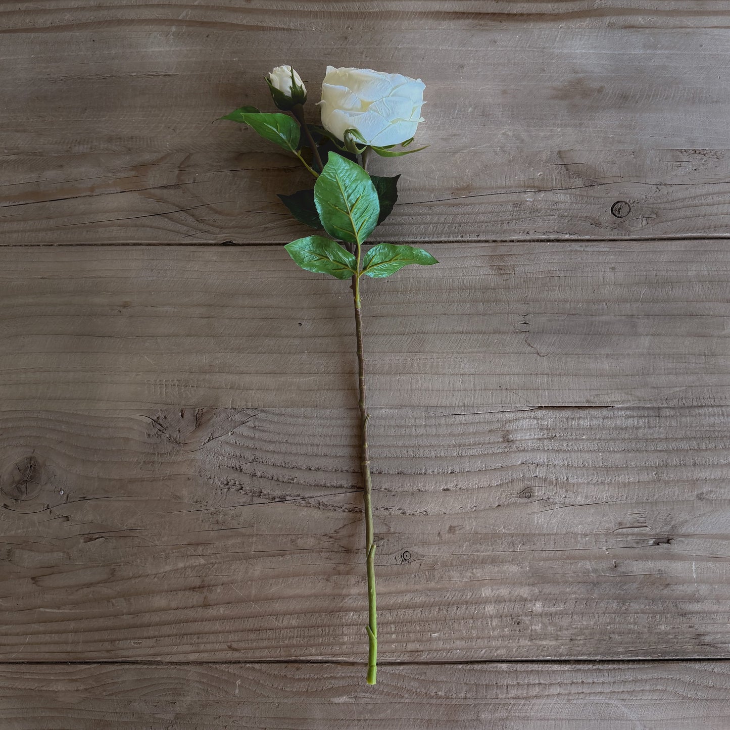 White English Cabbage Rose Stem | 20" Faux Floral | Artificial Flower.