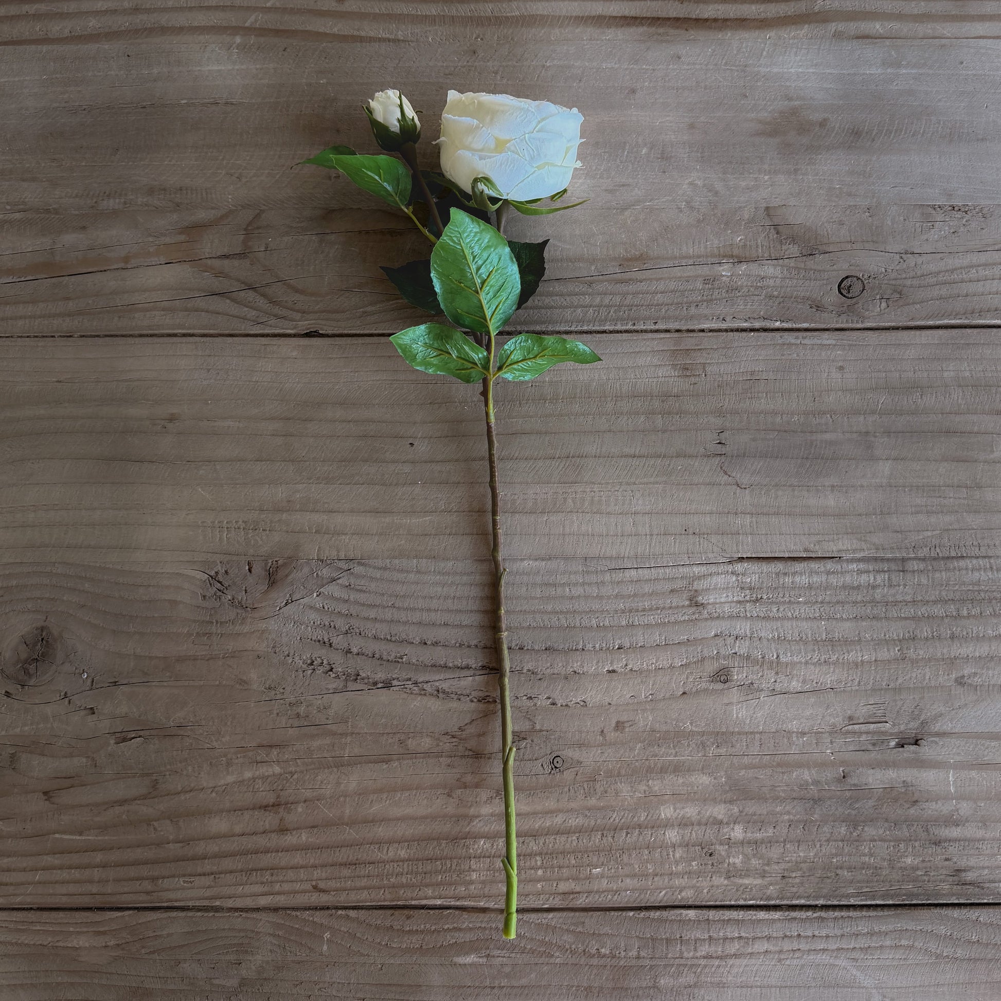 White English Cabbage Rose Stem | 20" Faux Floral | Artificial Flower.