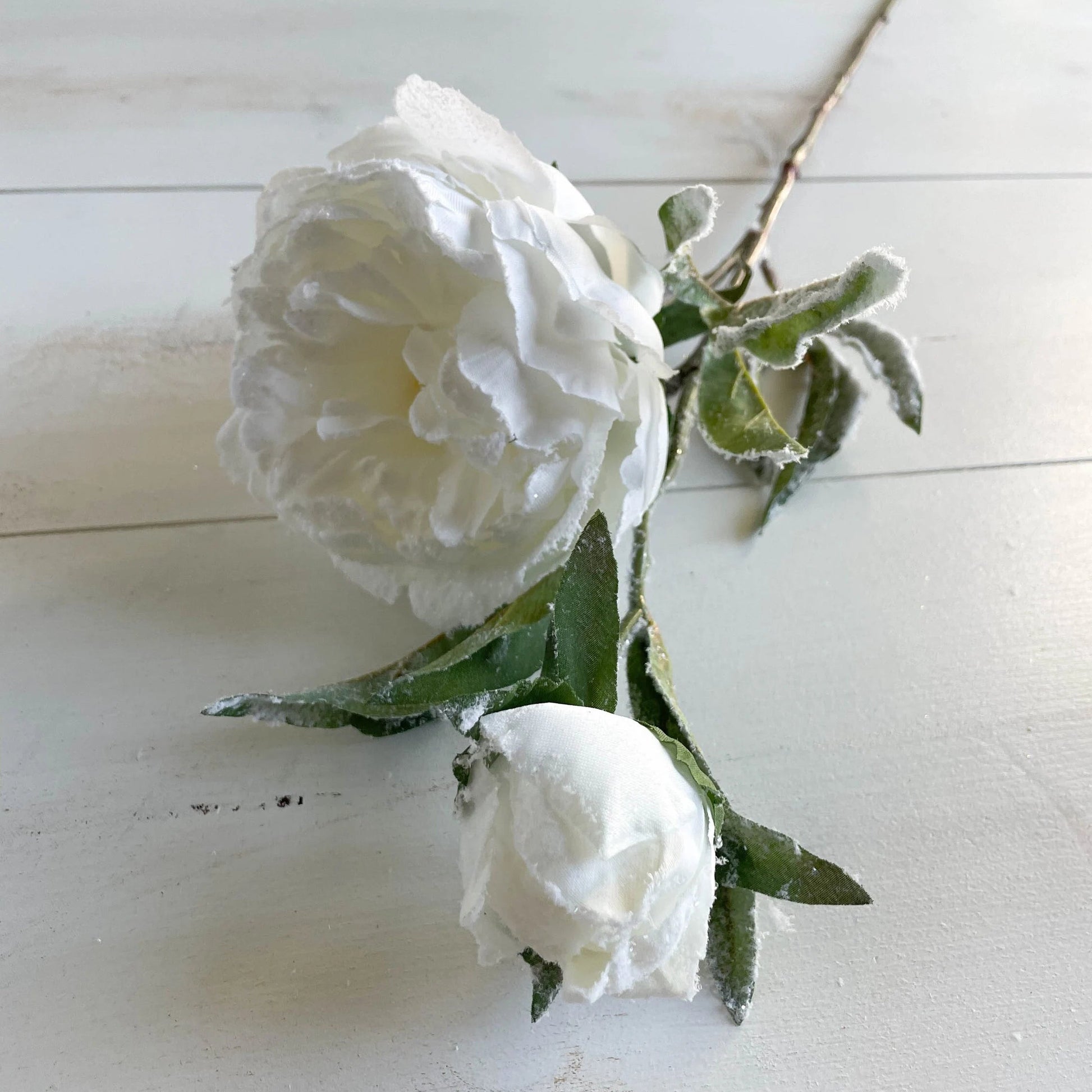 White Frosted Snowy Peony Spray 27.5" - Artificial Winter Flower