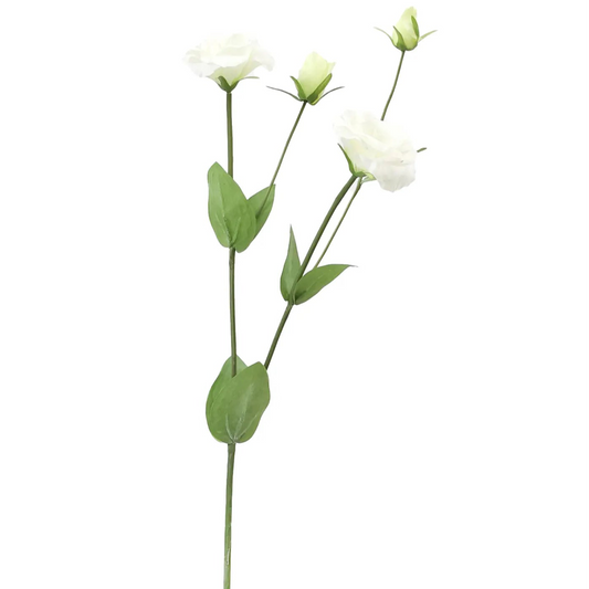 White Lisianthus 27"