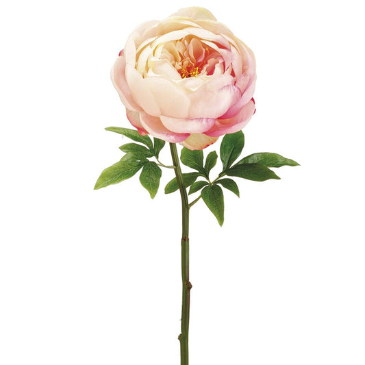 A single 27-inch tall artificial peony flower with white and pink petals, including green leaves, on a stem against a white background.