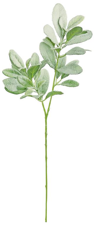 SNOWY LAMB'S EAR SPRAY, 28"; GREEN