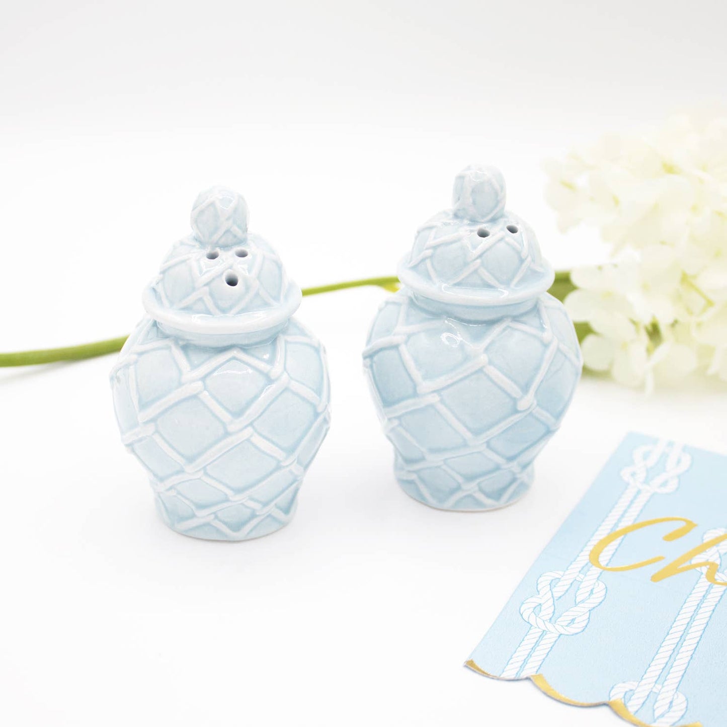 Light Blue Textured Jar Salt & Pepper Shaker Boxed Set