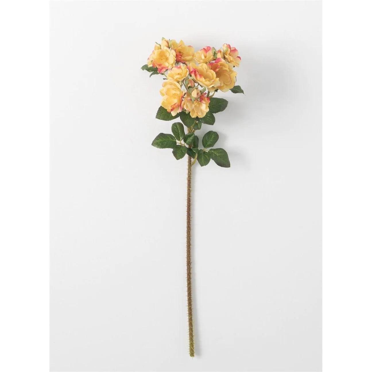 Yellow Rose Stem