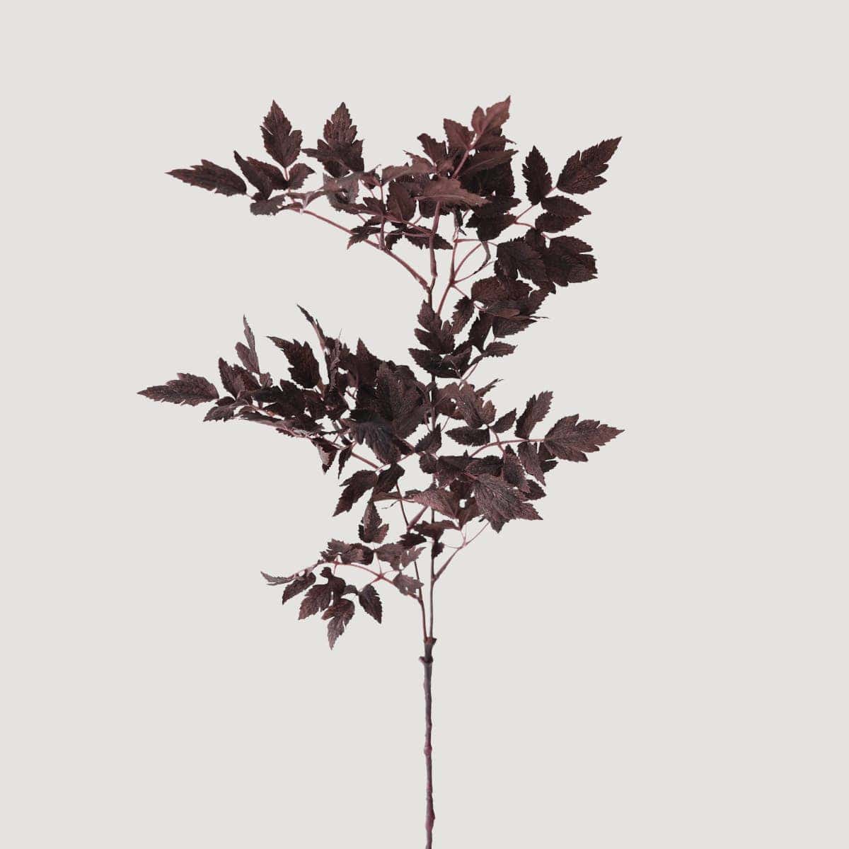 Artificial Plum Cimicifuga Ramosa Leaves - 31"