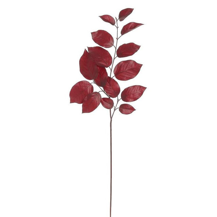 autumn-salal-leaf-spray