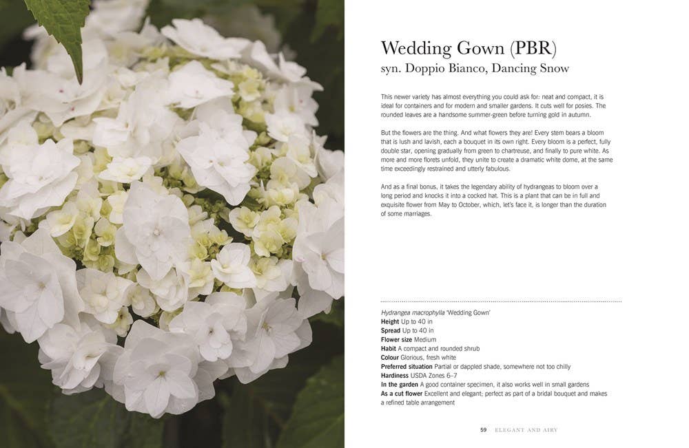 Hydrangeas: Beautiful Varieties for Home & Garden Book