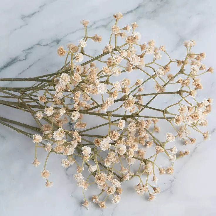 beige-baby's-breath-spray