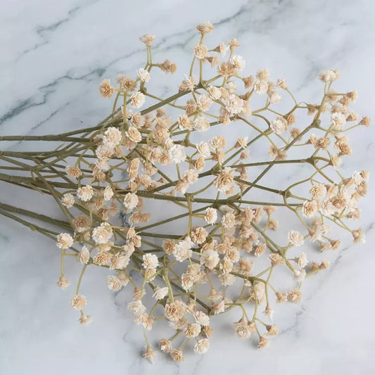 beige-baby's-breath-spray