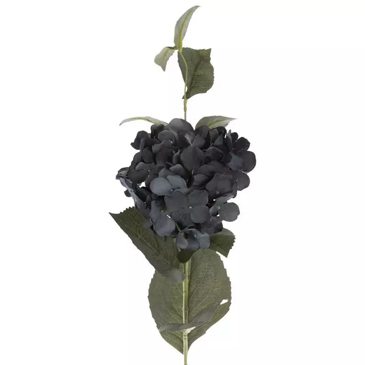 blue-hydrangea-stem