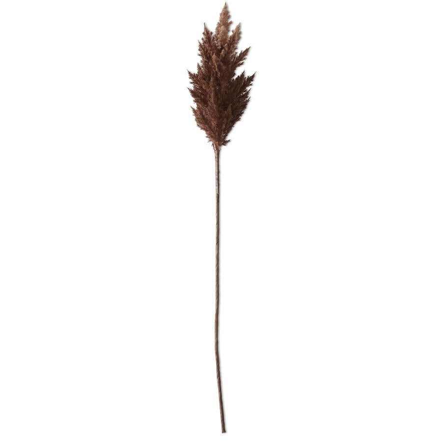 Brown Flocked Pampas Grass Branch, 35" - Single Stem Artificial Greenery
