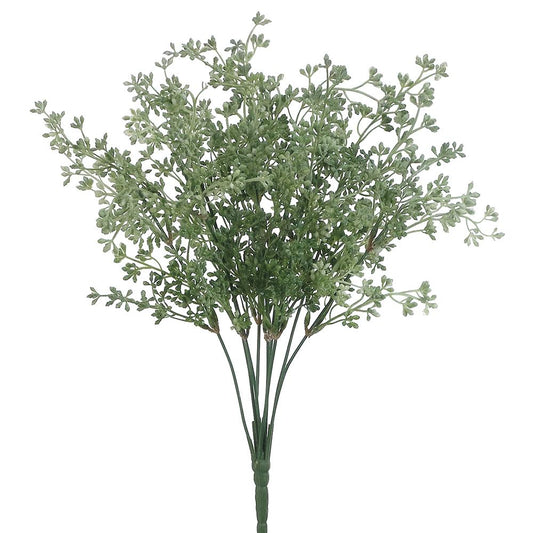 17" Eucalyptus Seed Bush