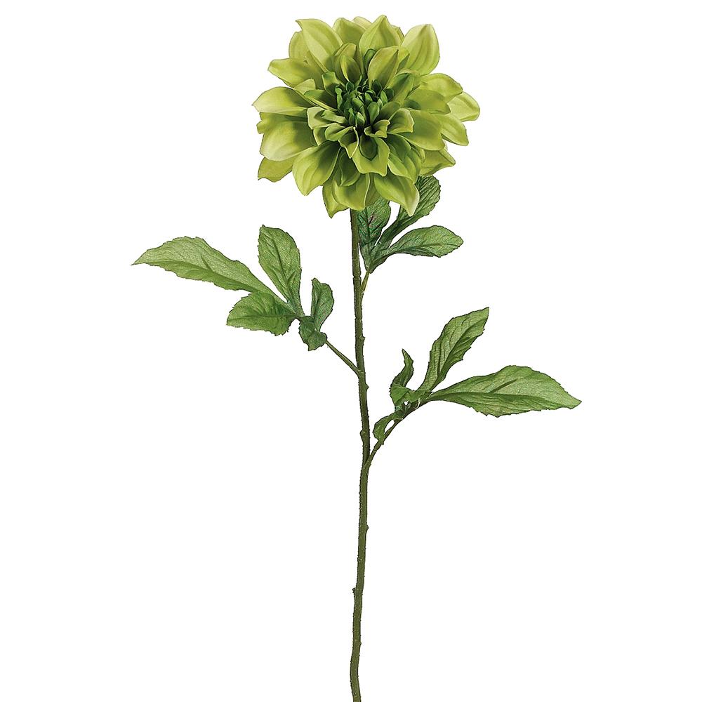 29" Dahlia Spray Green