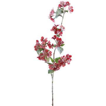 Snowed Quince Blossom Spray Red 35"