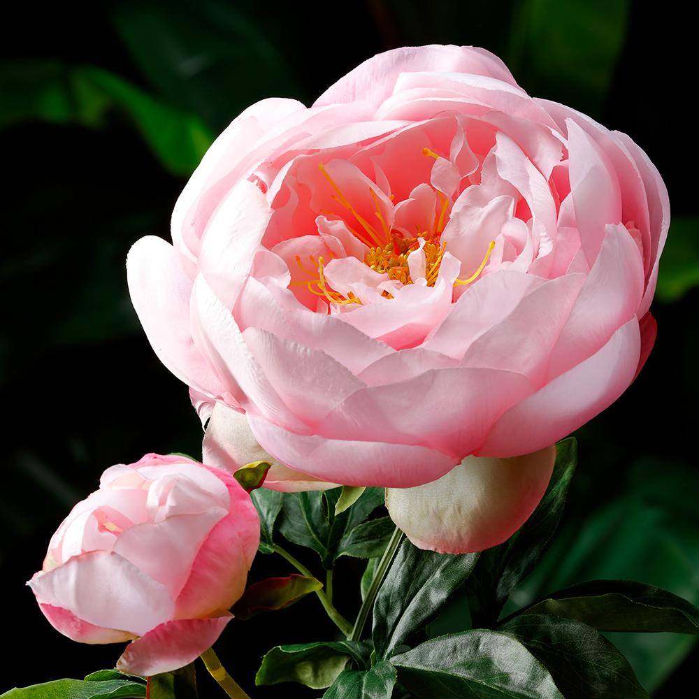 22" Peony Bud Spray Pink