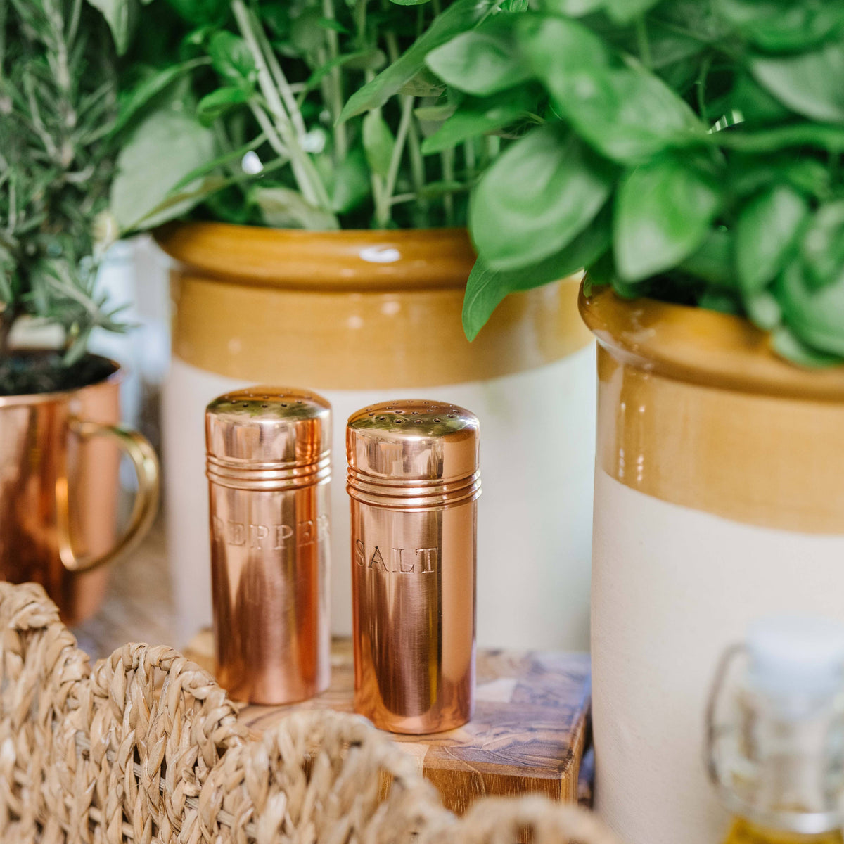 Copper_Salt_Pepper_Shaker