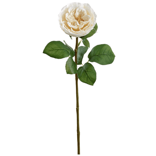 Cream Cabbage Rose Spray 26" - Artificial Flower Stem