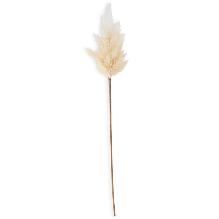 Cream Flocked Pampas Grass Branch 35" - Single Stem Artificial Greenery