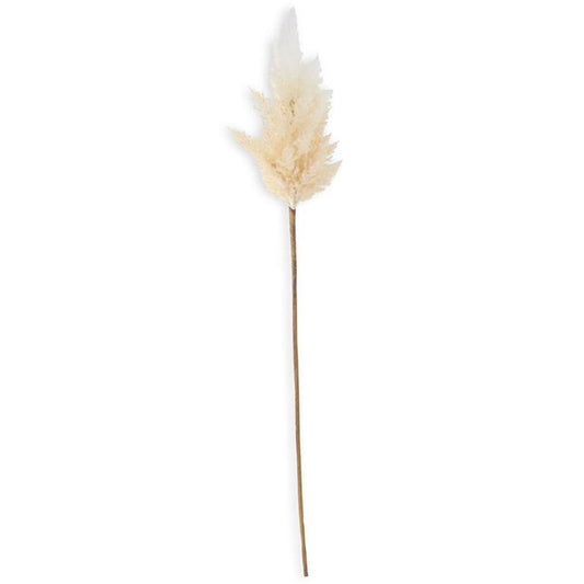 Cream Flocked Pampas Grass Branch 35" - Single Stem Artificial Greenery
