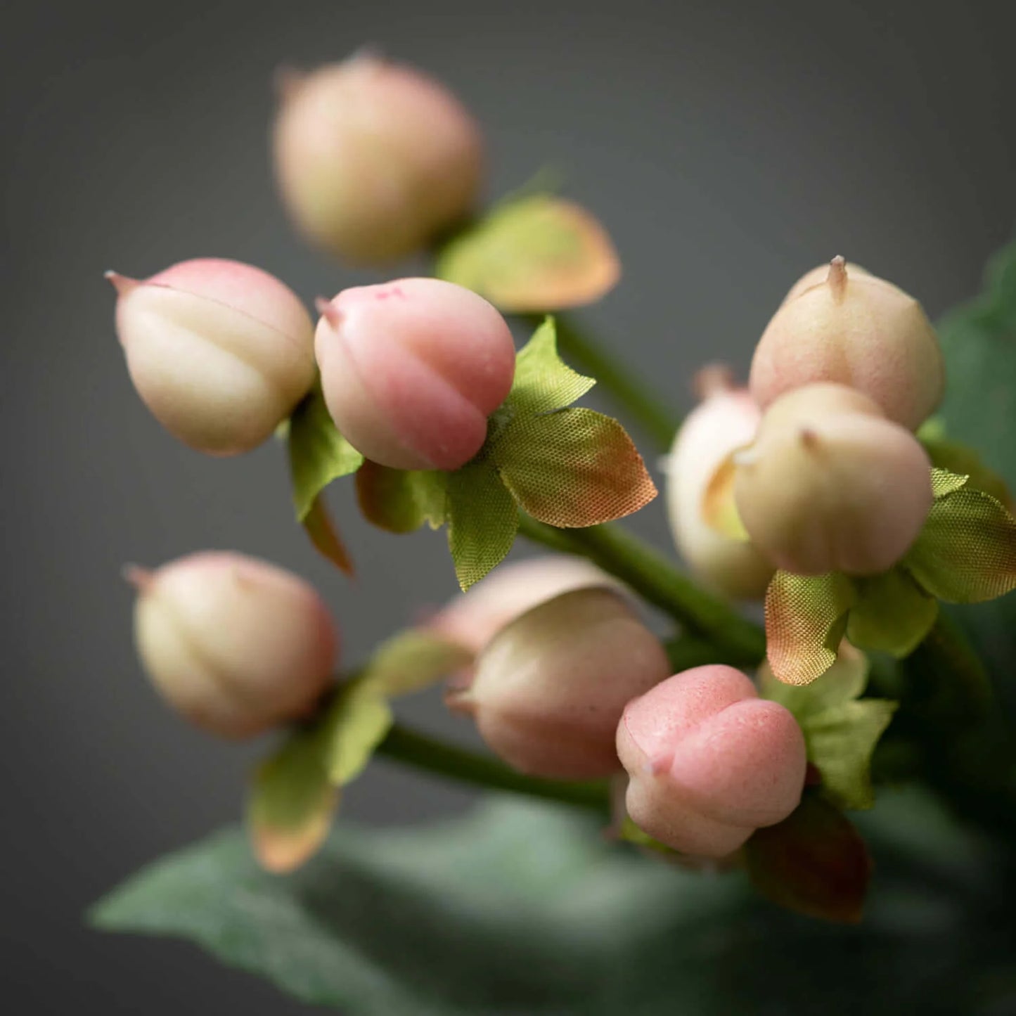 Pink Hypericum Spray