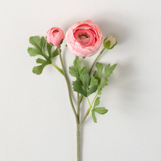 FRESHCUT® CORAL PINK RANUNCULUS