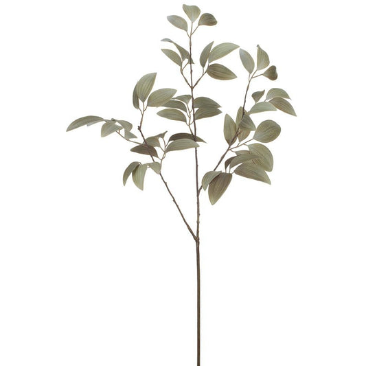 Green & Gray Ruscus Leaf Spray, 32" - Single Stem Artificial Greenery