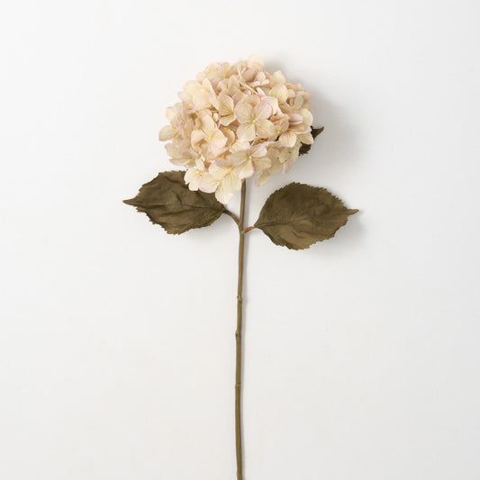 Hydrangea Stem in Cream 28.5"