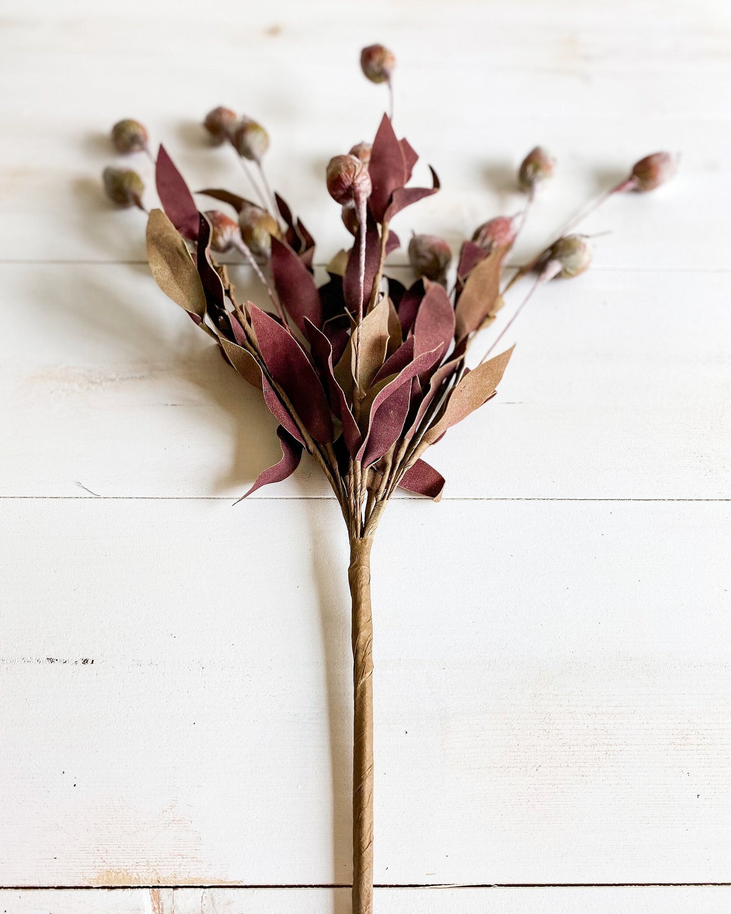 Sleepy Silene Eva Bush 24" Burgundy and Green