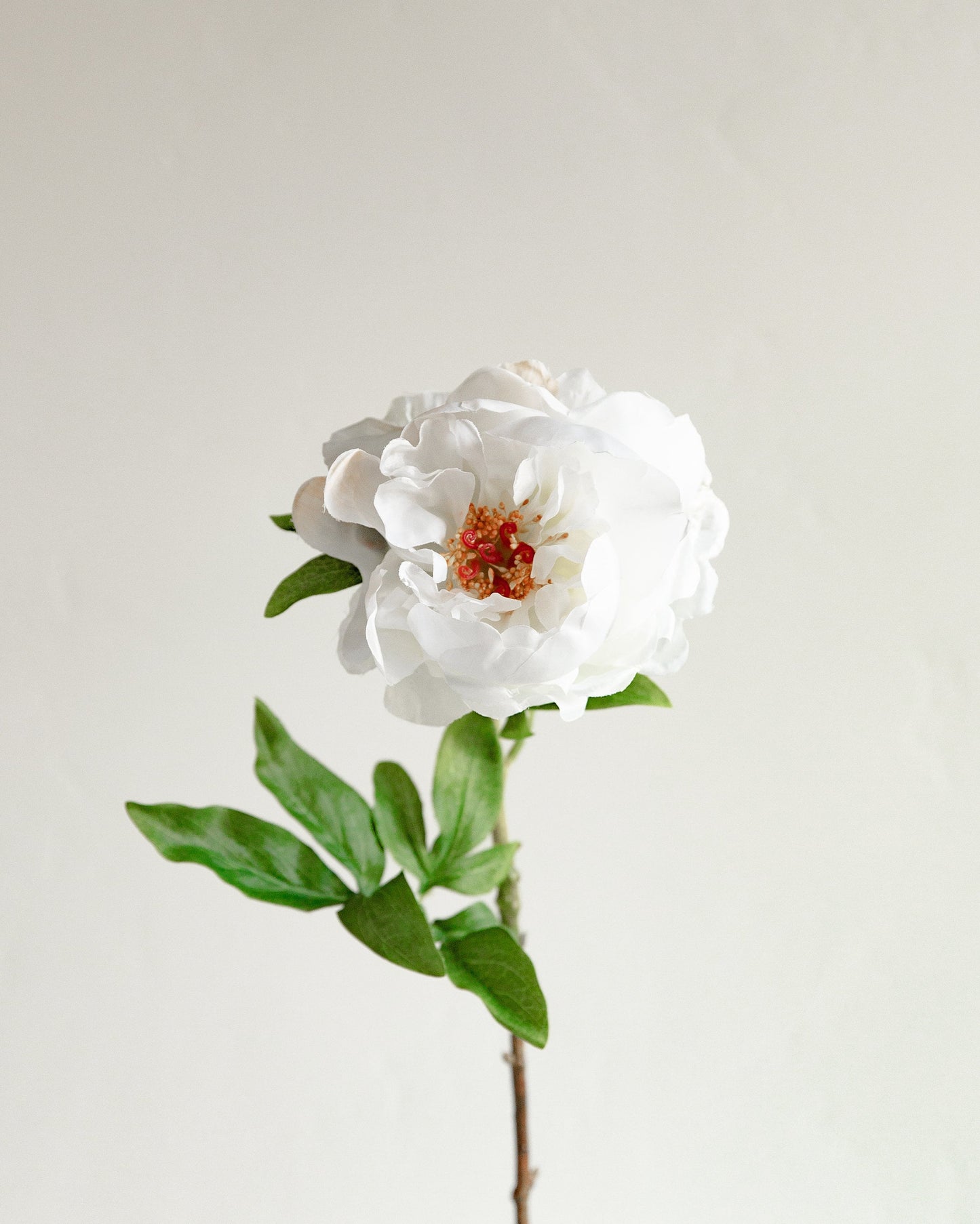 22"Peony Spray White