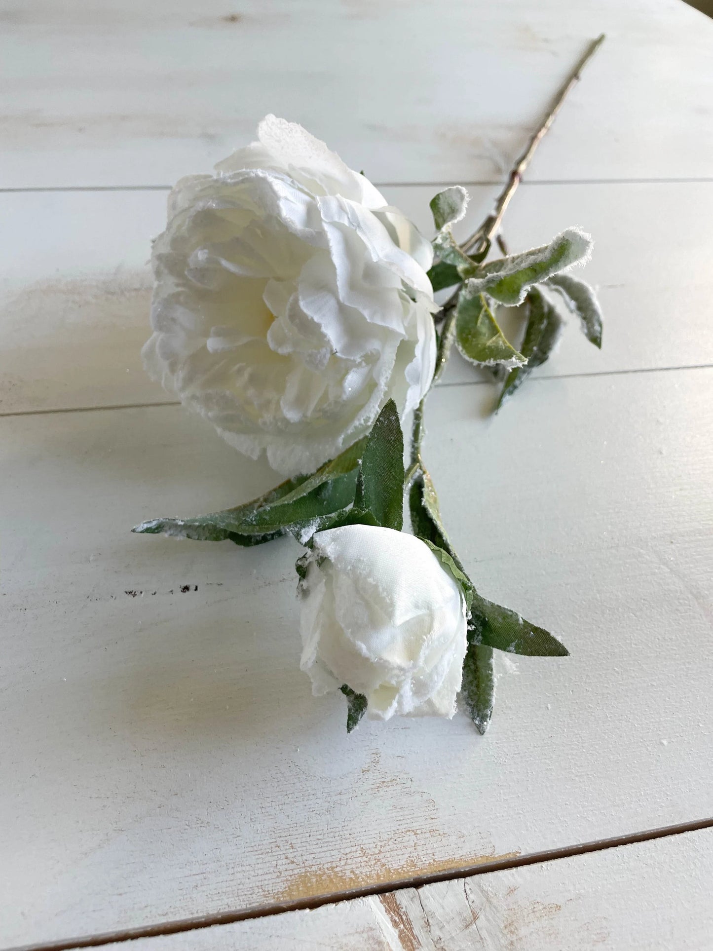 27.5" White Snowed Peony Spray