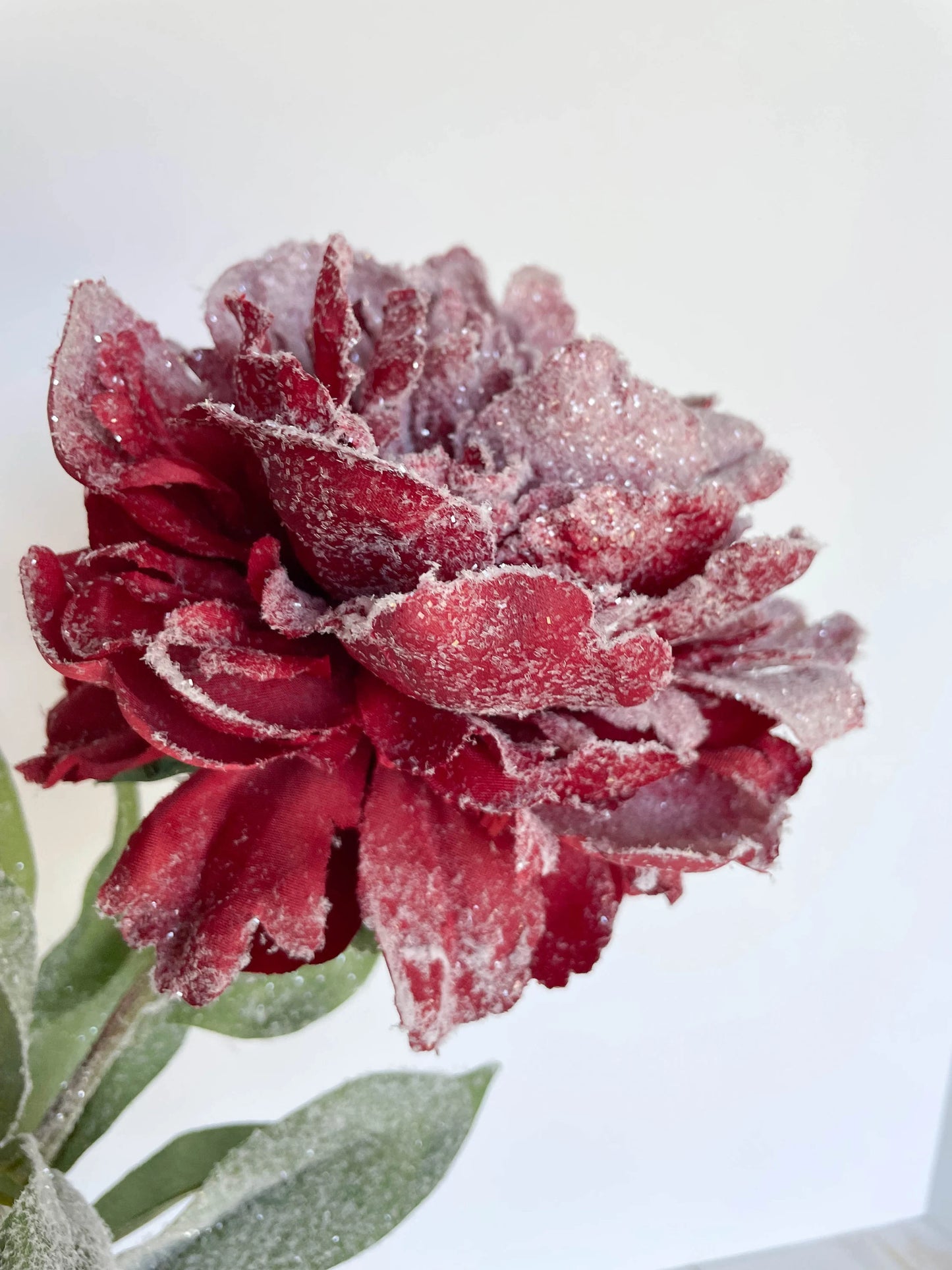 28" Snowed Peony Spray Red