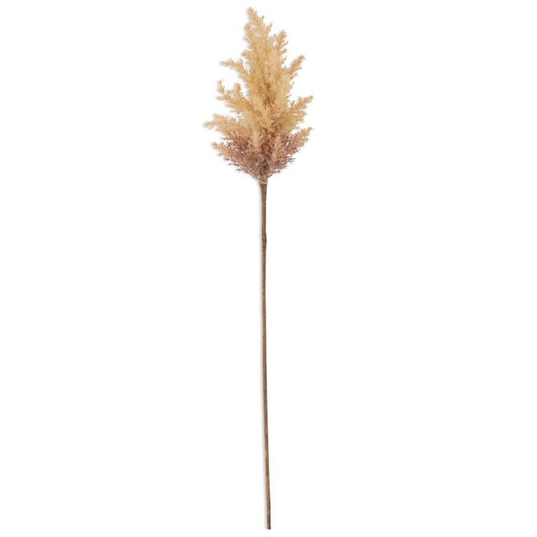Light Brown & Peach Pampas Grass 35" - Single Stem Artificial Greenery