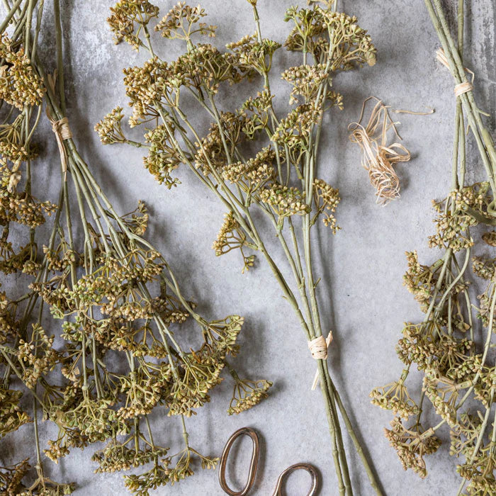21.5" Meadow Sedge Stem - Natural