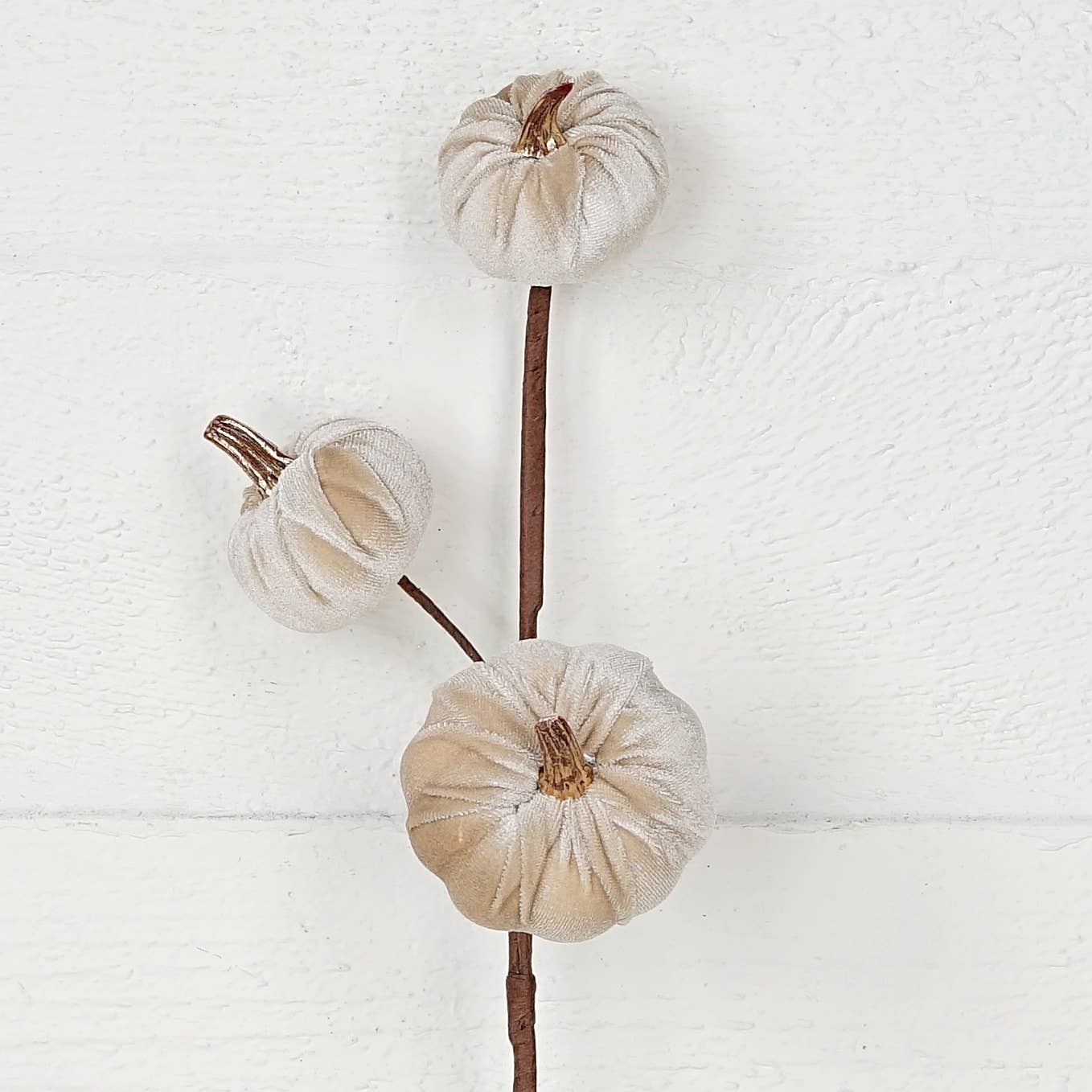 Mini Pumpkins 15-Inch Pick with Champagne Velvet & Gold Stem