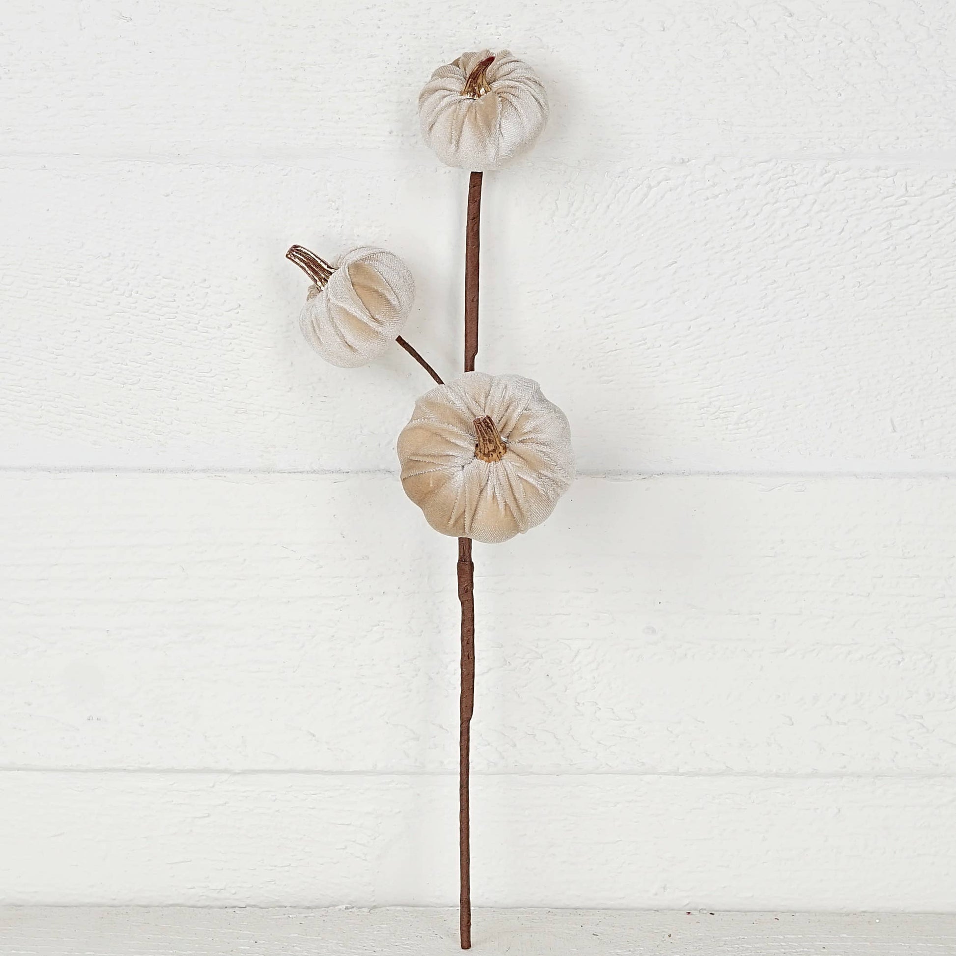 Mini Pumpkins 15-Inch Pick with Champagne Velvet & Gold Stem