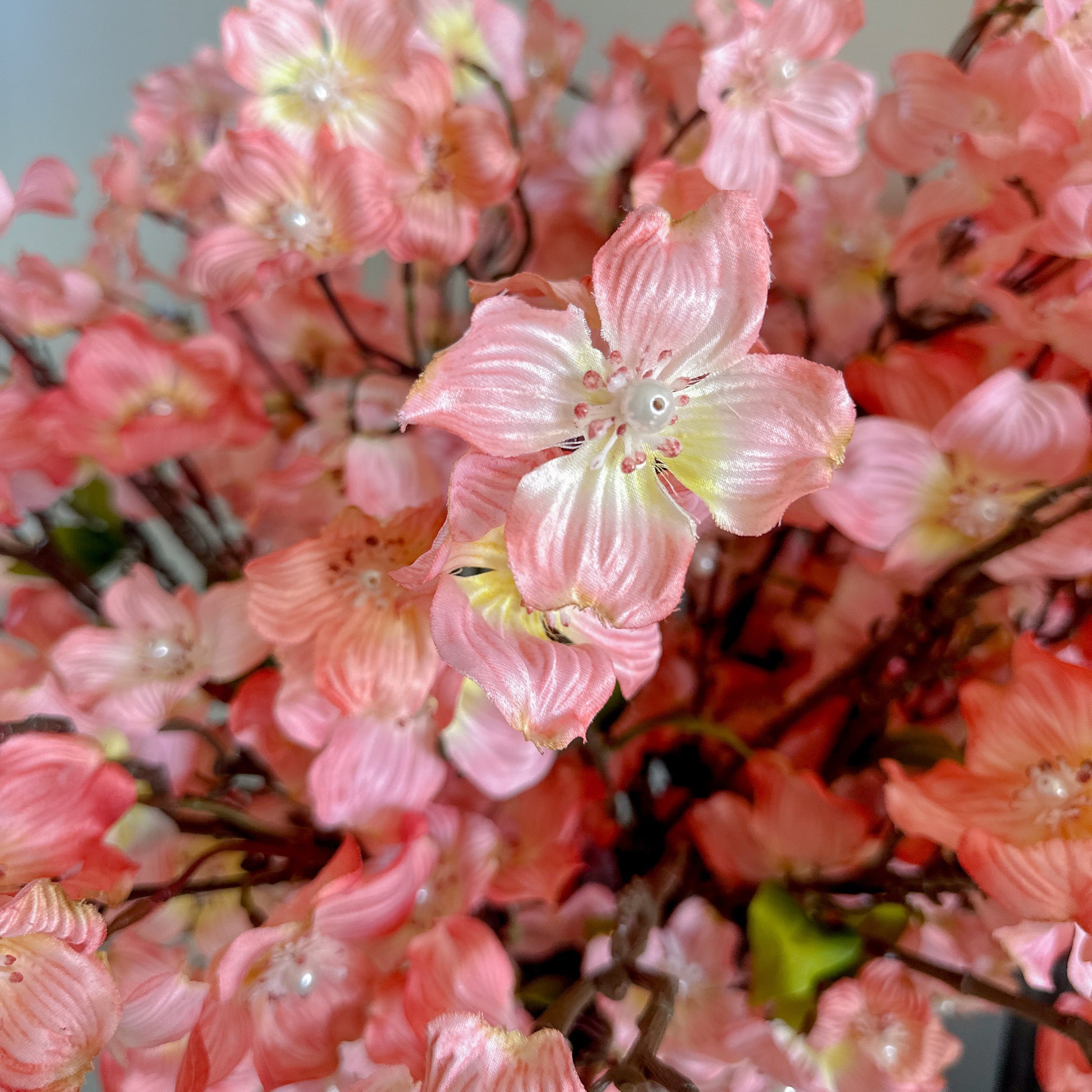 Peachy Pink Dogwood Stem with Pearl 36" 