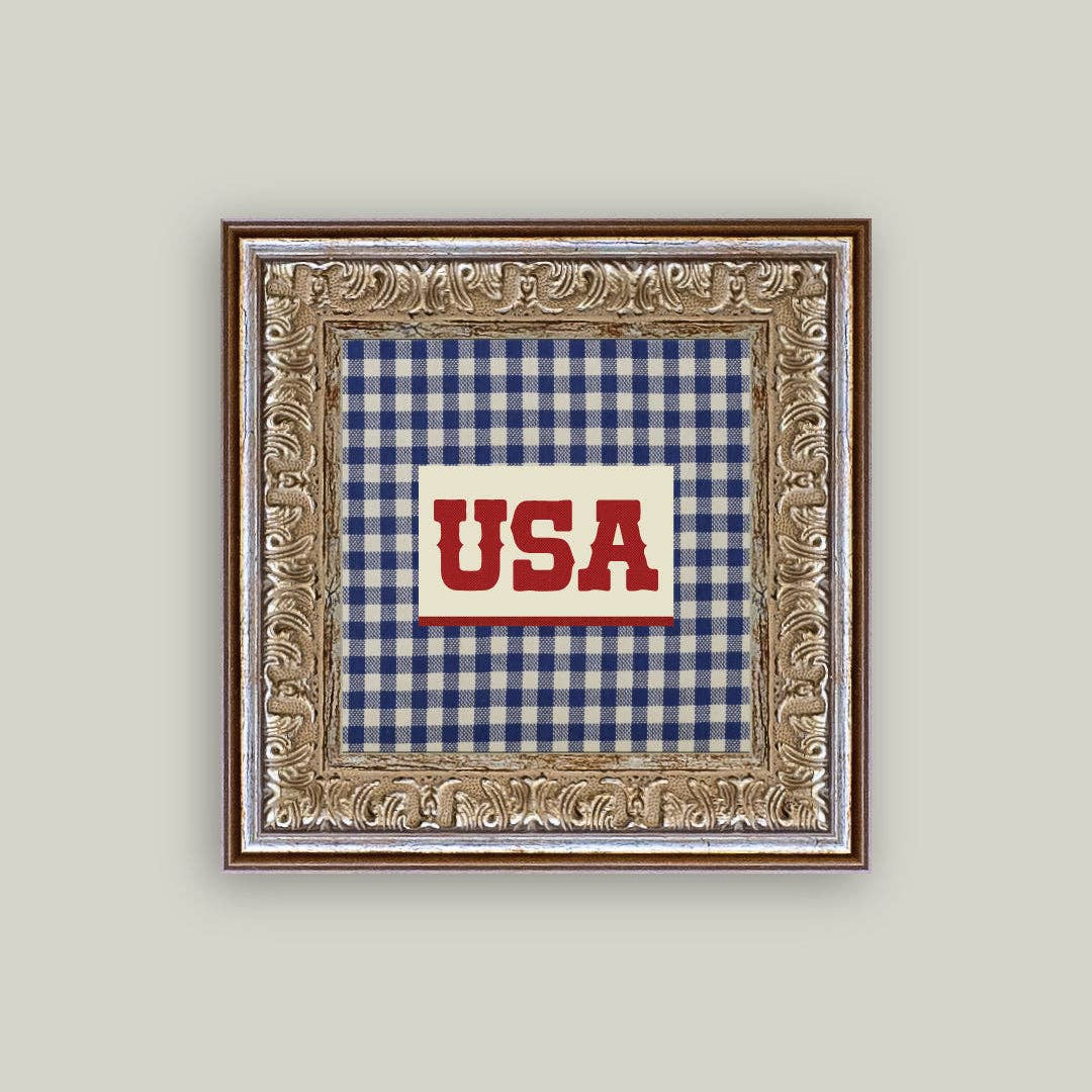 Decorative framed picture with 'USA' text on a checkered background