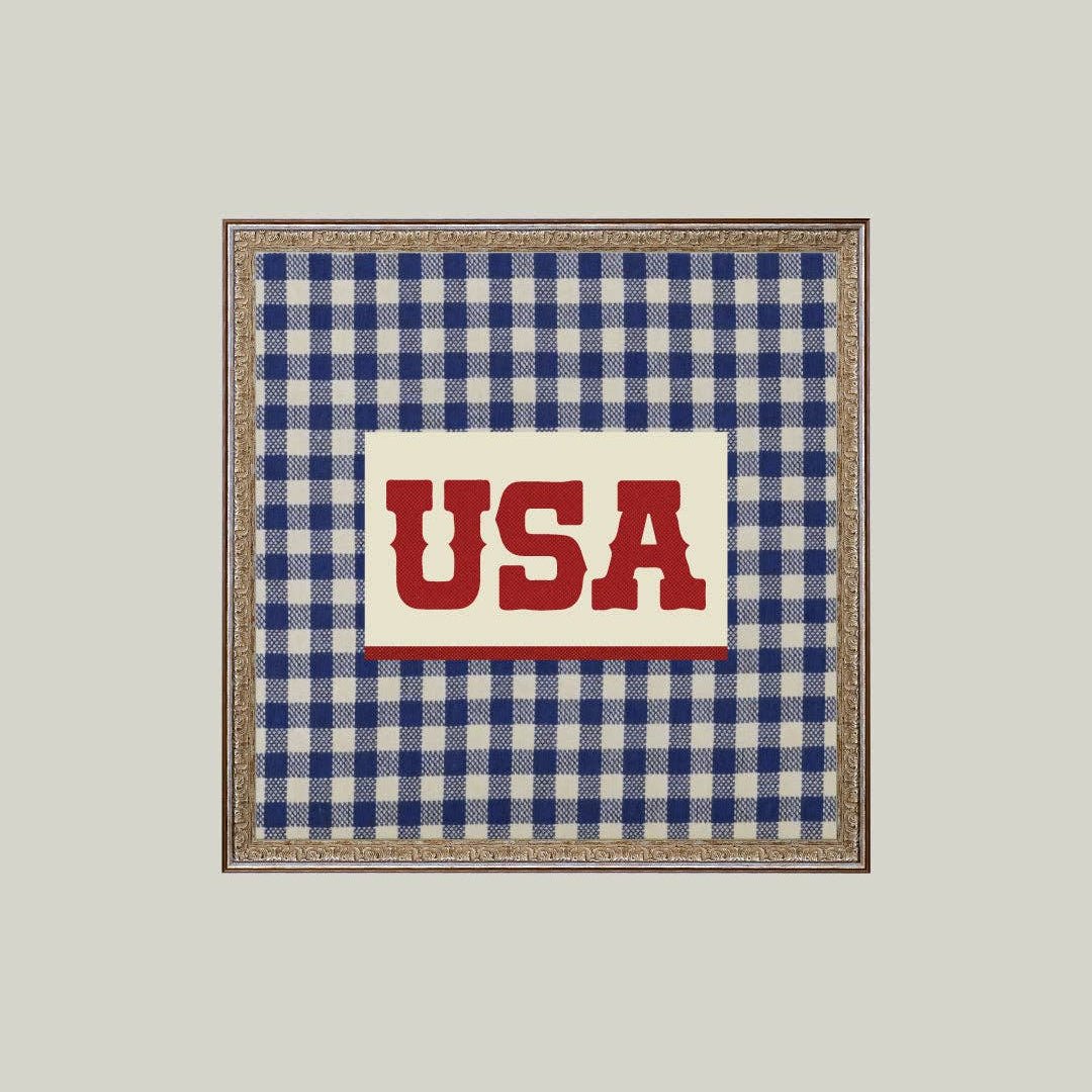 Framed artwork with blue and white checkered border and 'USA' text on a beige background